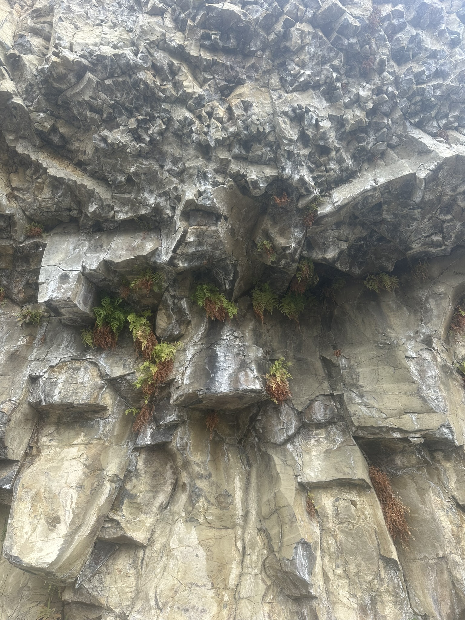 Yellowstone And Grand Teton National Parks - Image 881